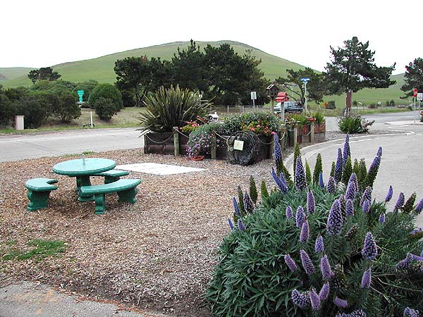 Las Tunas Mini Park near intersection  of Quintana and Morro Bay Blvd